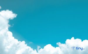 Leia mais sobre o artigo 5 Vantagens de um Software ERP Cloud